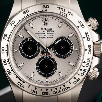 Rolex Cosmograph Daytona Steel And Black Oyster White Gold Mens Watch 116509