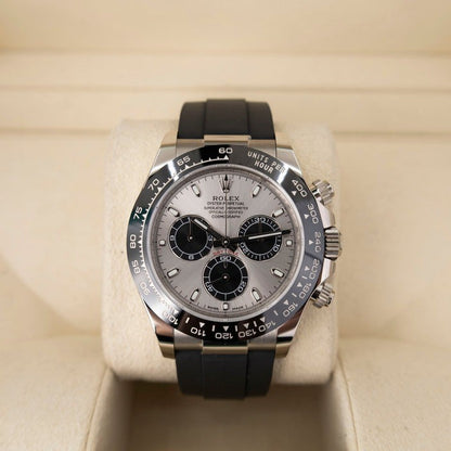 Rolex Daytona Steel Dial White Gold Oysterflex